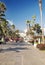 Palm-lined promenade