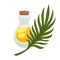 Palm oil in bottle. Vector flat isolated icon