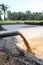 Palm Oil Mill Effluent (POME) wastewater being discharged - Series 5