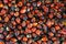 Palm oil seed background