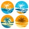 Palm paradise logo set