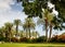 Palm Park of Catholic Church on the Mount of Beatitudes, Israel