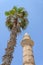 Palm and the peak of the mosque, Israel 2015