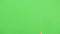 Palm of right male hand raising on green screen,