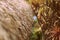 Palm roof on a background of tropical plants, retro style toned