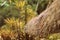 Palm roof close-up on a background of tropical plants. Retro style