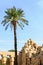 Palm and ruins in the Karnak temple in Luxor, Egyp