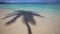 Palm shadow on Lanikai Beach