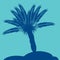 Palm silhouette