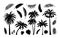 Palm silhouette. Exotic jungle foliage. Tropical trees and branches. Black leaves templates. Banana or coconut fronds