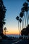 Palm silhouettes on dramatic sunset sky at La Jolla ocean shores