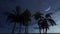 Palm silhouettes on the night sky background