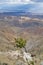 Palm Springs and Bermuda Sand Dunes viewed from Joshua Tree National Park