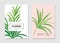 Palm summer tree invitation card template design. Jungle  paradise palm leaf in vector set. Hawaii plant isolated card, vintage