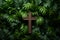 Palm Sunday, Christians to welcome Jesus Christ, cross crucifix, church christian catholic trust believe faith, happy