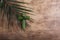 Palm sunday concept: Cross shape of palm branch on an antique wooden background