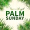 Palm Sunday - greeting banner template for Christian holiday, with palm tree leaves background. Congratulations with