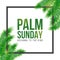 Palm Sunday holiday card, poster with palm leaves border, frame. Vector background