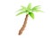 Palm tree 3d render - tropical plant with green leaves and brown trunk for beach vacation and summer travel concept.