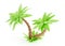 Palm tree 3d render - tropical plant with green leaves and grass for beach vacation and summer travel concept.