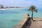 Palm tree against a beautiful sea coast background