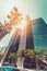 Palm tree against blue sky, vintage toned, summer cityscape