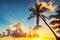 Palm tree against sunrise cloudscape. Tropical beach in Punta Cana, Dominican Republic