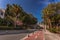 Palm Tree Avenue, Kos island, Greece.