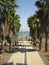 A palm tree avenue leads to the Sea of Galilee