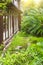 Palm tree in the backyard of a japanese ryokan guesthouse indoor garden.