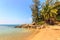 Palm tree on Banana Beach