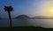 Palm tree in the Bay of La Concha at sunrise, city of San Sebastian