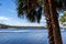 Palm Tree Beach Coast Tropical Weather Ocean Horizon Vacation Summer Sun Destination Landscape
