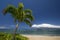 Palm tree and beach with the island of Lanai. Lahaina, Maui, Hawaii