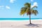Palm tree on the beach at Palm Beach on Aruba island in the Caribbean