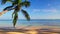 Palm tree and beautiful tropical beach seamless never ending footage. Loop video.