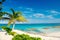 Palm tree, blue sea, sky in Great Stirrup Cay, Bahamas