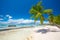 Palm tree, boat and tropical beach. Paradise exotic island, hdr