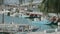 Palm Tree and Boats Moored at Tamsui Fisherman's Wharf, Tamsui, Taipei, Tilt Shot