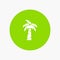 Palm, Tree, Brazil white glyph icon