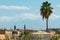 Palm tree and buildings of the city of Marrakesh in the foreground, and the Atlas Mountains in the background. Contrasts of the