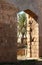 Palm tree through the castle portal