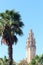 Palm tree and church Barcelona Cathedral bell tower