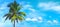 Palm tree close up view at the picturesque sky background. Tropical beach at the exotic island. Advertising travel company.