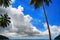 Palm tree, clouds and blue sky 2