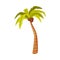 Palm Tree with Coconut Fruit as Bali Traditional Cultural Attribute Vector Illustration
