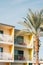 Palm tree and colorful hotel with balconies in Palm Springs, California