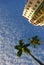 Palm Tree and Condominium with Blue Sky to indicate promising property investment, property bubble