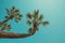 Palm tree curve hanging over sea south beach resort vintage color stylized