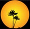 Palm tree evening background